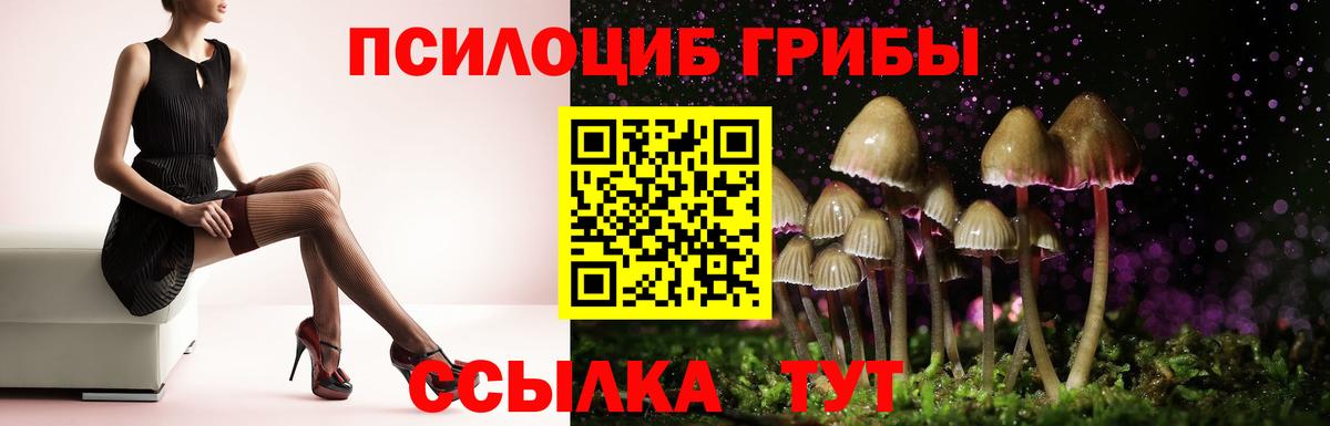 Псилоцибиновые грибы GOLDEN TEACHER  Псилоцибиновые грибы ЛСД  Вход с VPN  Михайловка 