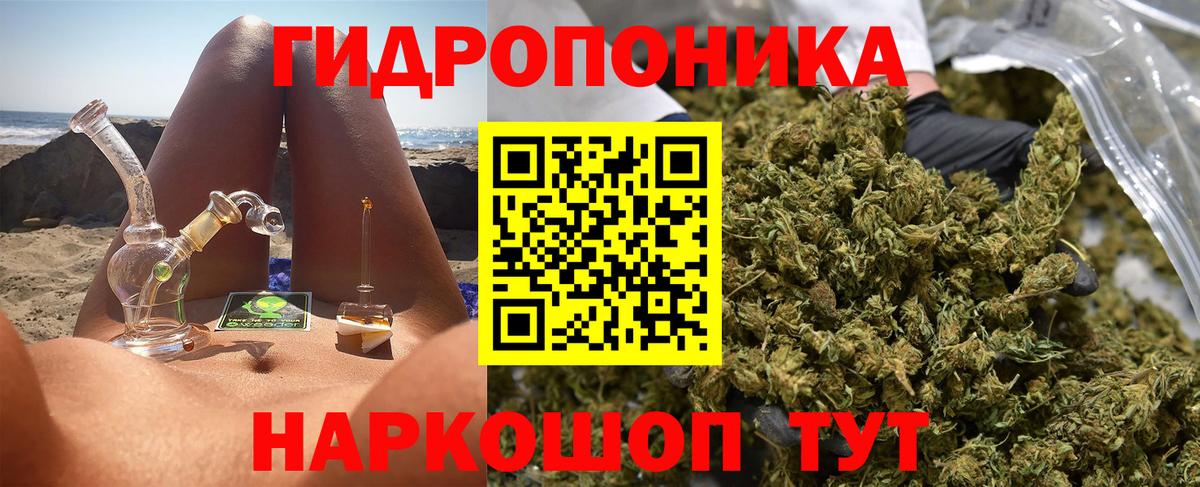 Бошки марихуана индика  Бошки Шишки MAZAR  МАРИХУАНА THC 21%  Михайловка  Марихуана White Widow  Вход с VPN 